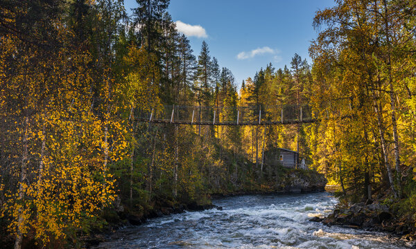 View of the suspension bridge on the Pieni Karhunkierros Circle Trail crossing a river surrounded by autumn forest and a wooden cabin in Kuusamo, North Ostrobothnia, Finland.