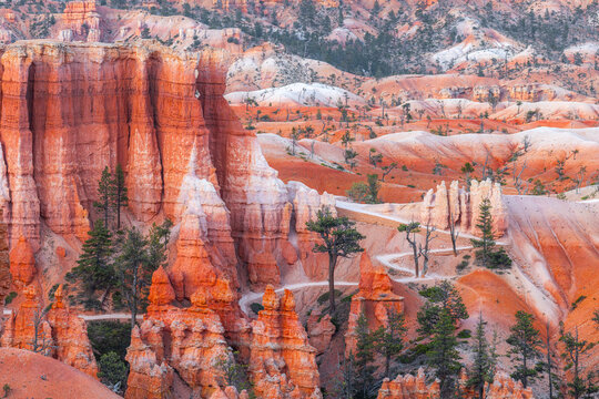 View of the iconic orange and red hoodoos and rock formations of Bryce Canyon National Park, with winding hiking trails and pine trees, Bryce Canyon City, Utah, United States.