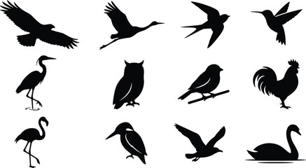 Fototapeta premium Bird Silhouette Icon Set with Eagle Owl Flamingo Swan Crane Hummingbird and Rooster Wildlife Symbols for Nature Environment Eco Educational Websites and Apps