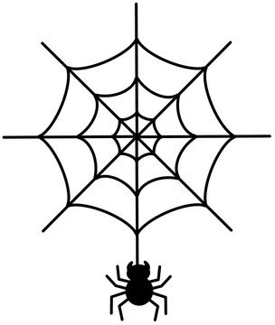 spider and web
