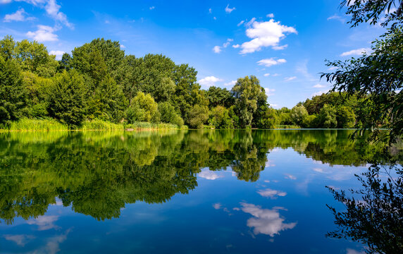 Calm lake at Lackford Lakes in Suffolk, England, reflecting lush green trees and a blue summer sky with white clouds on a sunny August day.