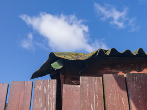 mould and moss on Onduline roof