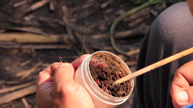 Process of selecting and taking live worm from container to put on hook