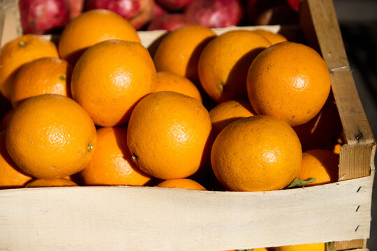 Freshly picked Sicilian oranges piled high in a rustic wooden crate