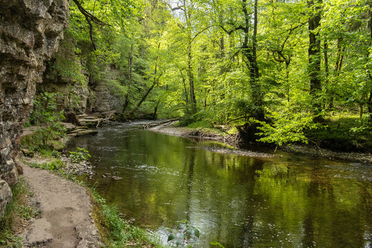 Wanderung in der Wutachschlucht