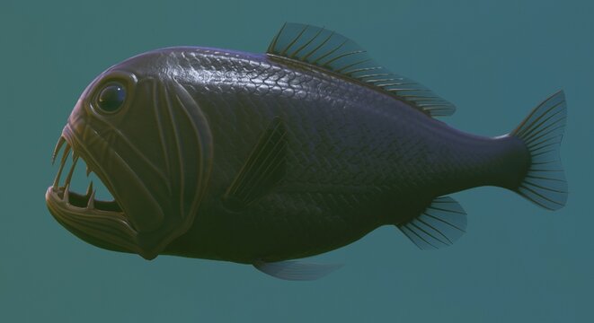 Deep Sea Fangtooth Fish 3D Illustration Isolated on Dark Underwater Background