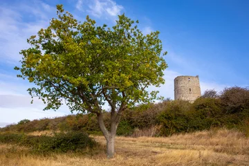 Hadleigh Castle in Essex, UK © chrisdorney