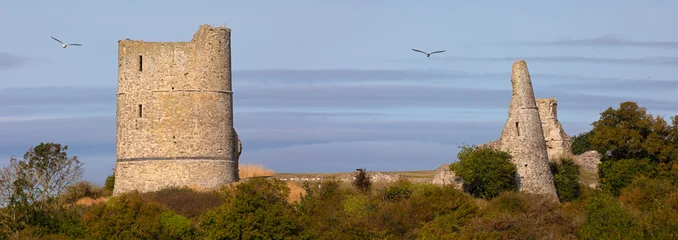 Hadleigh Castle in Essex, UK © chrisdorney