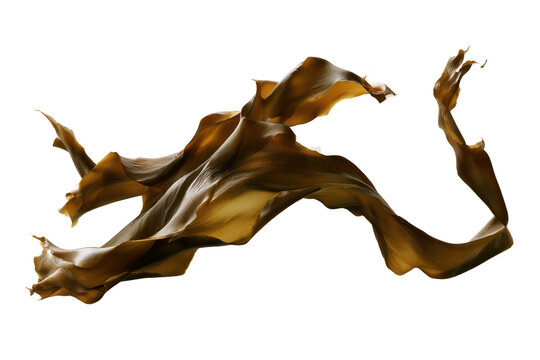 Realistic fresh brown kelp seaweed with long natural fronds isolated on transparent background