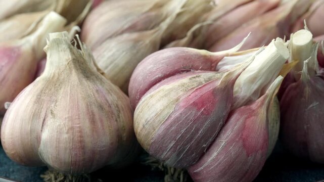 Unpeeled fresh organic garlic bulbs rotating in close up view. Harvesting and agriculture. Farming. Vegetables.	
