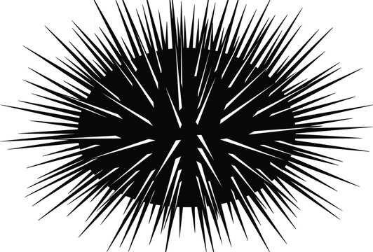 Black sea urchin marine animal vector graphic element featuring sharp spiky needle needles decoration pattern design