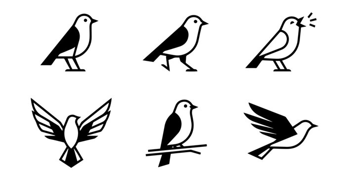 Minimalist bird poses and flight actions black vector icons set
