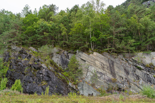 Lush green forest on a rugged rocky hillside in the Norwegian fjord landscape