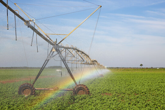 View of a center pivot irrigation system spraying water over a green agricultural field with a visible rainbow under a clear blue sky in Cienfuegos, Cienfuegos, Cuba.