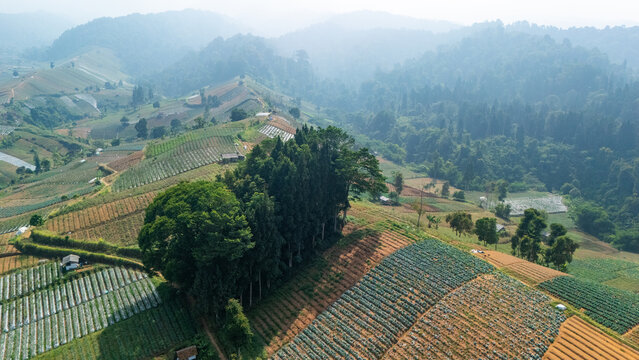 Aerial view of terraced agricultural fields and lush green hills with patches of forest in the misty landscape of Indonesia.