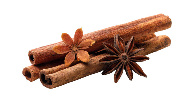 Cinnamon sticks with star anise spice