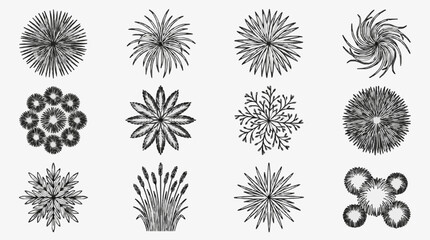 Obraz premium Elegant Abstract Floral and Botanical Line Art Patterns Collection