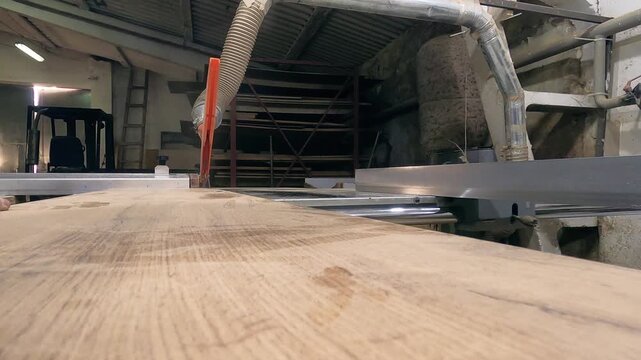 Industrial woodworking machine cutting wooden board with circular saw, low perspective factory production