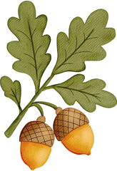 Acorns and Oak Leaves in Soft Watercolor Style © Mia