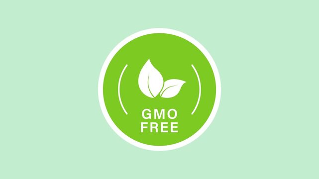 GMO-free certification and natural sticker animation with a green circular on a transparent background. Non-genetically modified organism. Seamless animated icon. 4K video overlay isolated element.