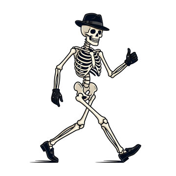 Swag Skeleton Walking, Dapper Human Bones Character In Hat And Gloves Giving Thumbs Up Gesture For Halloween isolated on White Background halloween