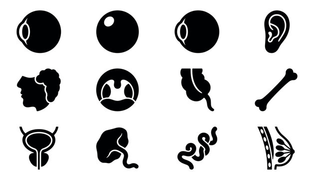 Medical vector icons set depicting human organs, anatomy, body parts and internal systems