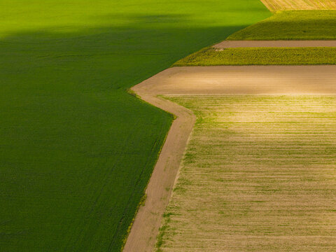 Aerial view of agricultural fields with a dirt path dividing green and brown crops in Nowy Tomysl, Wielkopolskie, Poland.