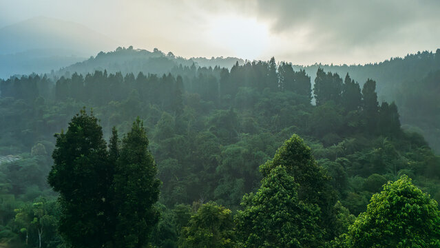 Aerial view of a dense tropical forest covering rolling hills with misty atmosphere and sunlight filtering through the clouds in Indonesia.