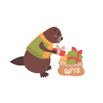 A cute beaver packs gifts in a bag. Vector isolated illustration for children's, New Year's, and holiday designs.