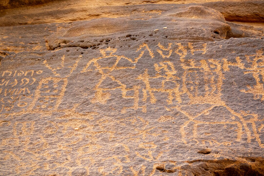 Camel petroglyph and Thamudic inscriptions carved on a sandstone rock, Al Madinah Province, Alula, Saudi Arabia