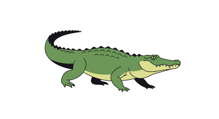 Fototapeta premium Detailed illustration of a green alligator crawling forward with realistic scales and a formidable tail on white background.