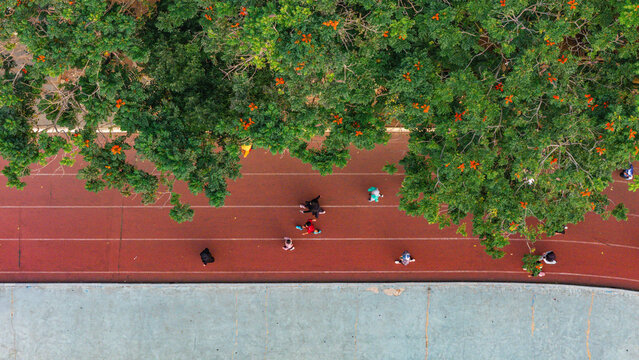 Aerial view of people walking and running on a red athletic track bordered by lush green trees with orange flowers in Indonesia.