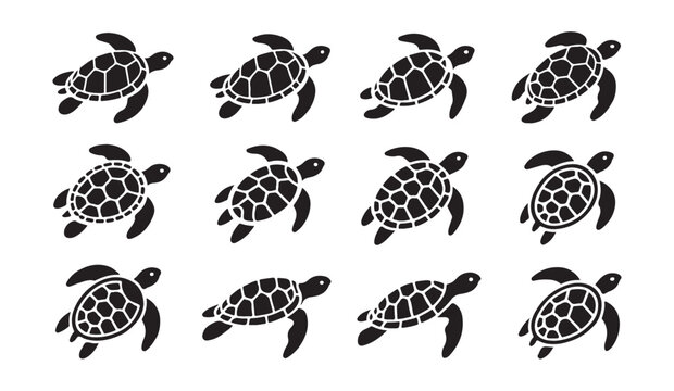 Collection of detailed sea turtle shells and swimming reptile icons for marine biology or nature conservation designs.