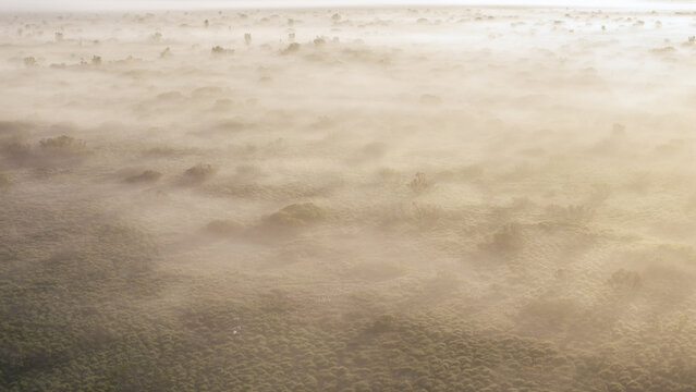 Aerial view of the misty landscape with patches of green vegetation emerging through the thick morning fog under soft golden light in Fludir, Hrunamannahreppur, Iceland.