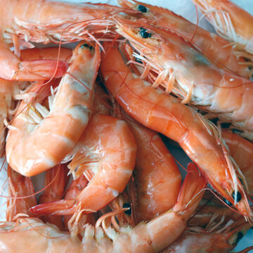 crevettes cuites