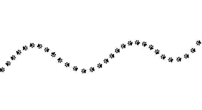 Dog paw prints curved trail path vector illustration. Black animal footprints walking track. Pet footstep trace symbol on a isolated white background. Veterinary clinic branding design element
