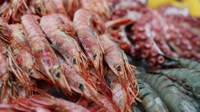 Fresh shrimp and octopus displayed on ice at seafood market stall. Raw prawns and crab arrangement at fish shop counter. Marine delicacy and healthy food concept.