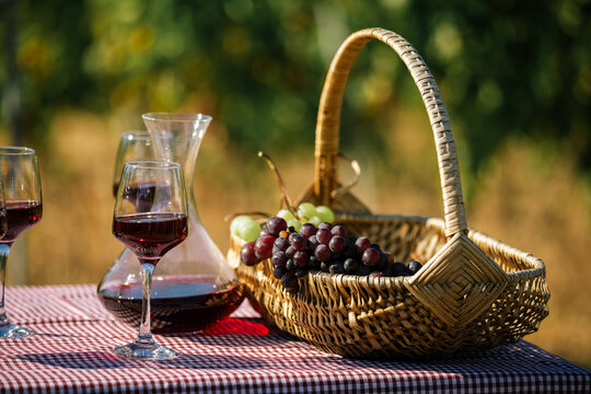 Basket of Grapes Beside Red Wine in Vineyard