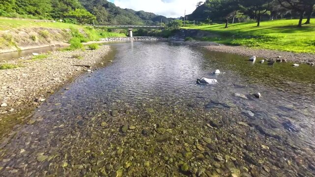 沖縄の清流・奥川の透明感