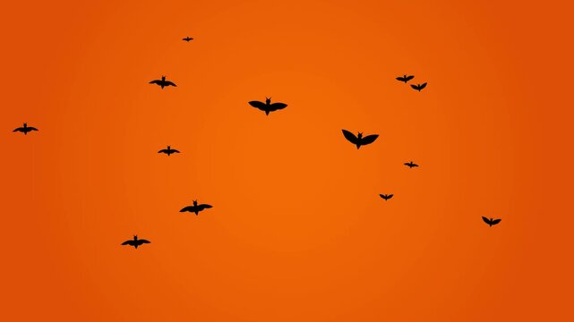 Black Silhouette Bats Flying Across A Vibrant Orange Background For Scary Halloween Holiday Projects