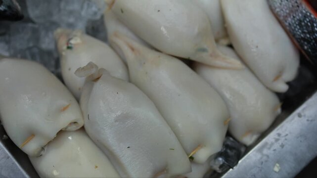 Fresh raw stuffed squid on ice at seafood market stall. Close-up of squid filled with herbs and secured with toothpicks. Marine food product for sale concept