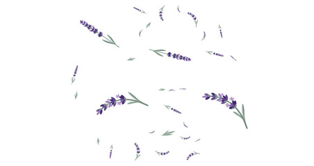 Fototapeta premium watercolor lavender flowers background pattern purple floral design with nature elements for spring and summer celebration template vector