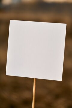 Blank white paper sign mounted on a wooden dowel in a natural outdoor setting