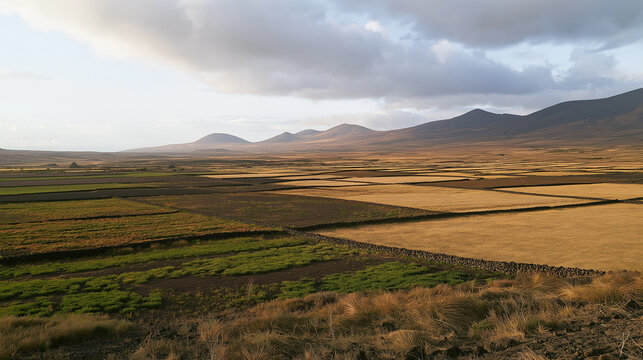 Patchwork fields with stone walls under volcanic mountains