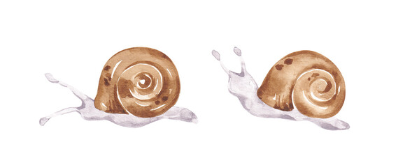 Snails set hand drawn with watercolor. Isolated on white. Snail illustrations clip art. Design elements for card, banner, invitation, poster, logo © balena