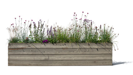 Obraz premium Different plants and flowers growing in a wooden planter. PNG image isolated on transparent and white background.