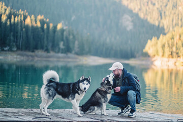 Bearded man kisses the muzzle of his Siberian husky on the shore of a mountain lake while the second dog stands beside them, a tender frame about loving a big northern breed © iwavephoto