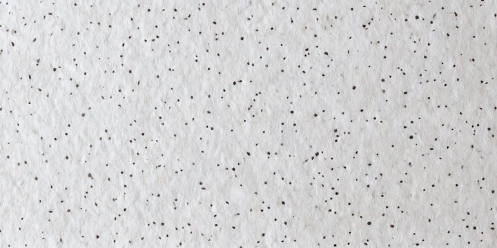 White Acoustic Ceiling Tile Texture Perforated Stipple Plaster Wall