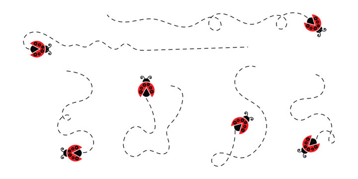 Ladybird Insect Trail Collection &ndash; Colorful Ladybugs with Curved Dotted Movement Paths and Decorative Vector Elements, EPS 10