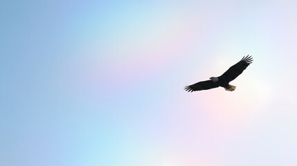 Fototapeta premium Eagle Flying Across Pastel Sky with Rainbow